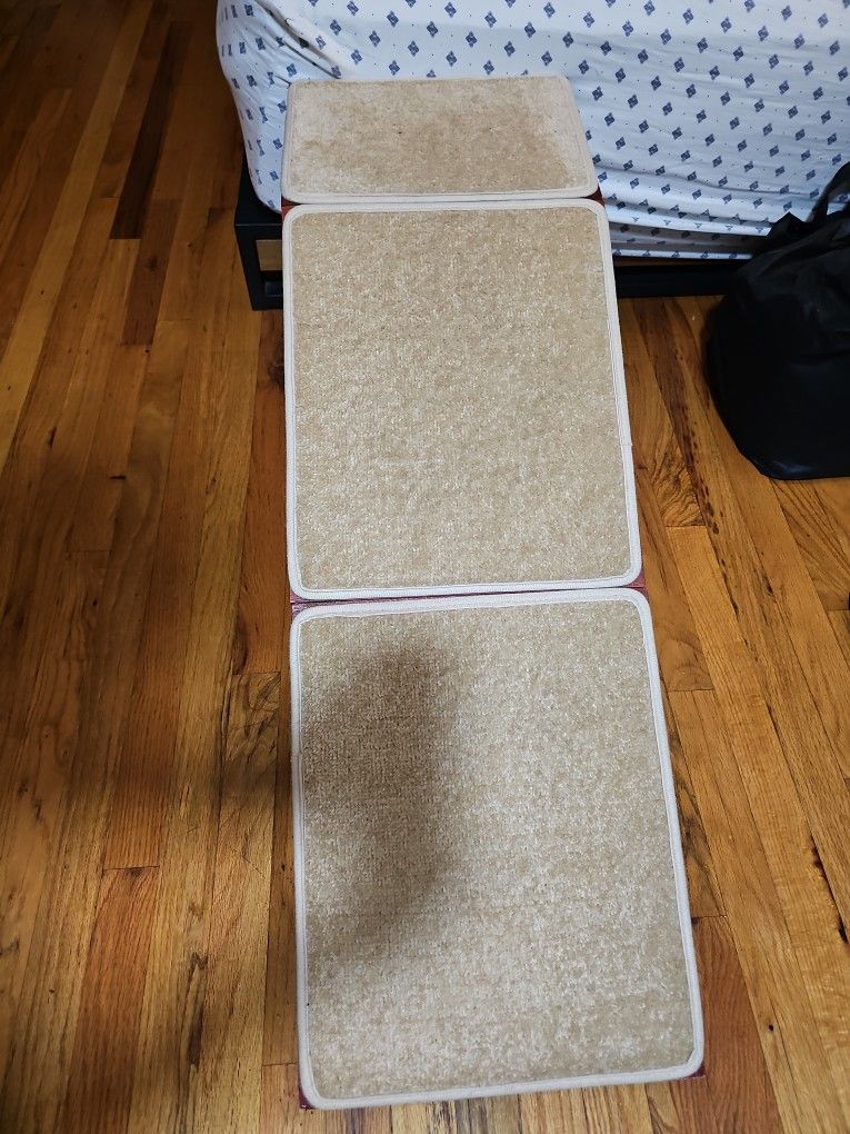 Dog Stairs