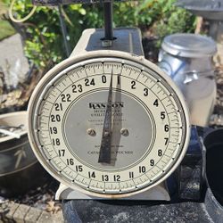  scale