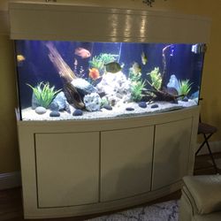 Aquarium Service 