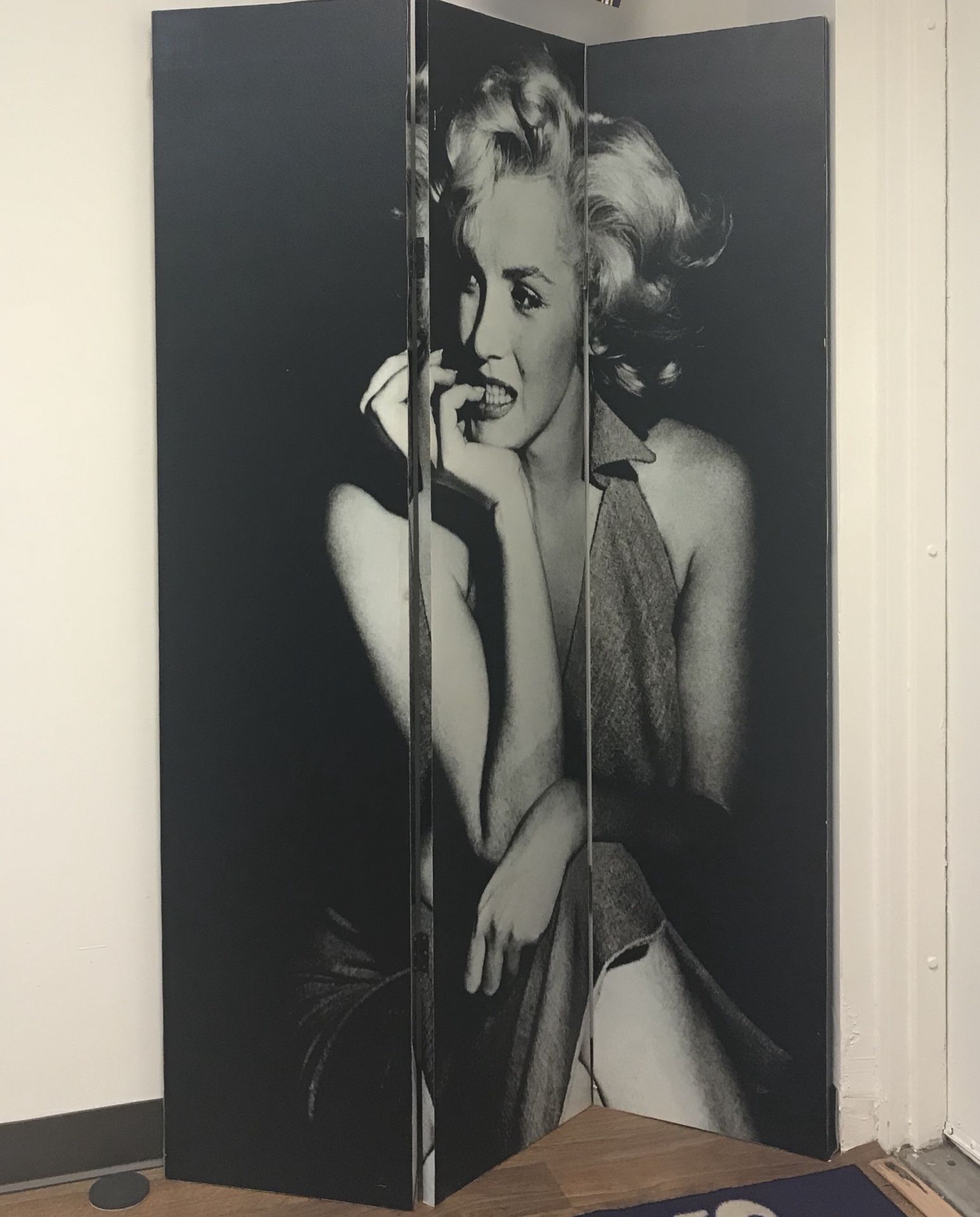 Marilyn Monroe room divider double sided