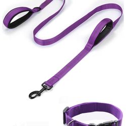 Leash and collar set