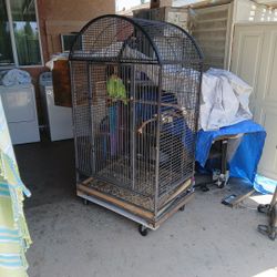 Xl Bird Cage