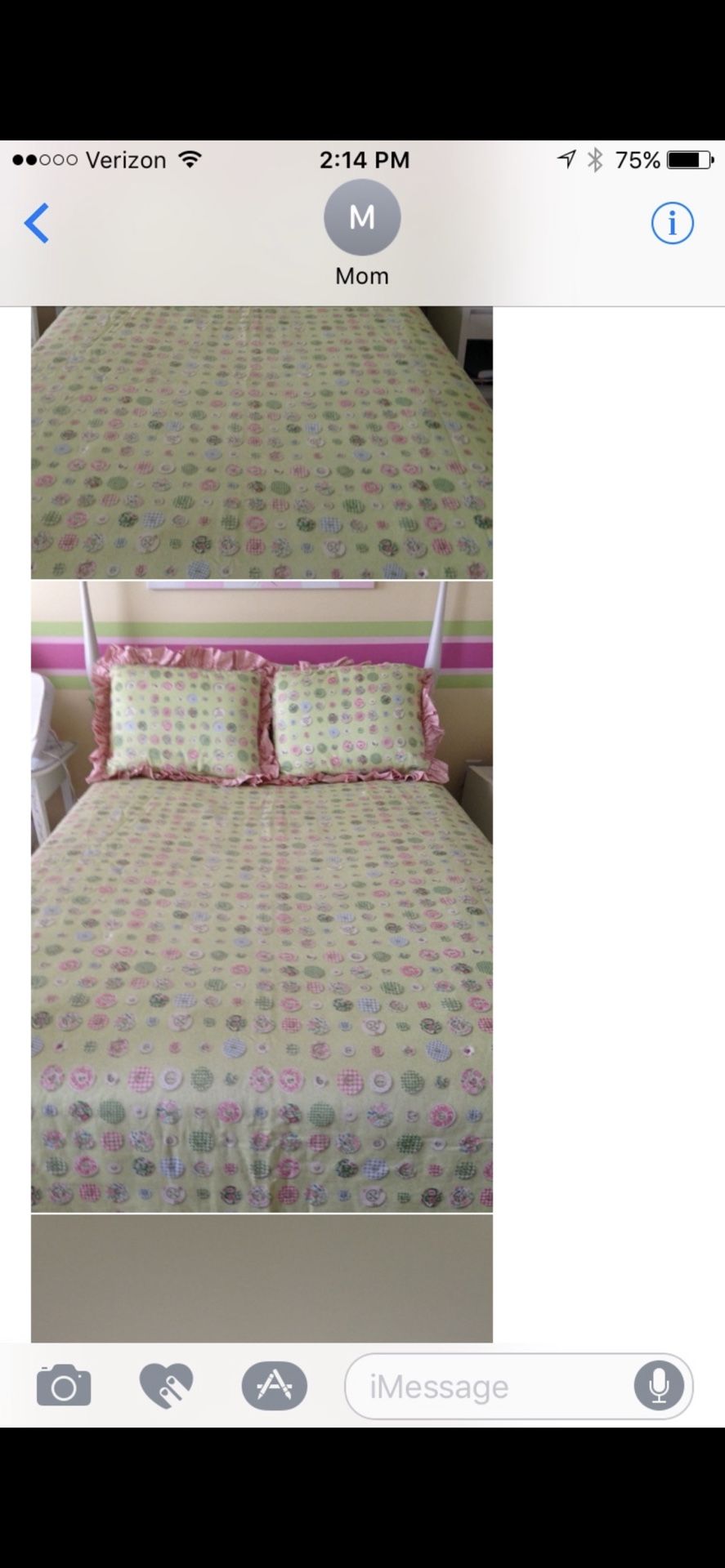 Full Size Pink And green Comforter, Dust Ruffle And Curtains