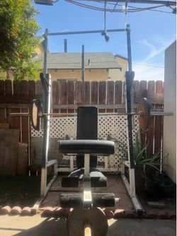 Bench Press, Squat Rack, Pull-ups , Weights , Calf Raise