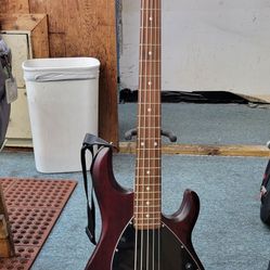 Sterling by Music Man Sting Ray 5 5-string Electric Bass Guitar Excellent!!!