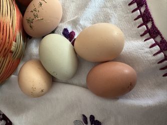 Huevos Orgánicos De Rancho 