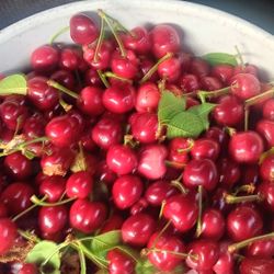 Cherries 