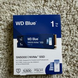 Western Digital WD Blue SN5000 1TB M.2 NVME