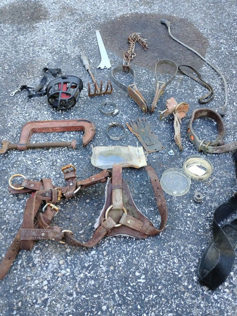Horse Equipment