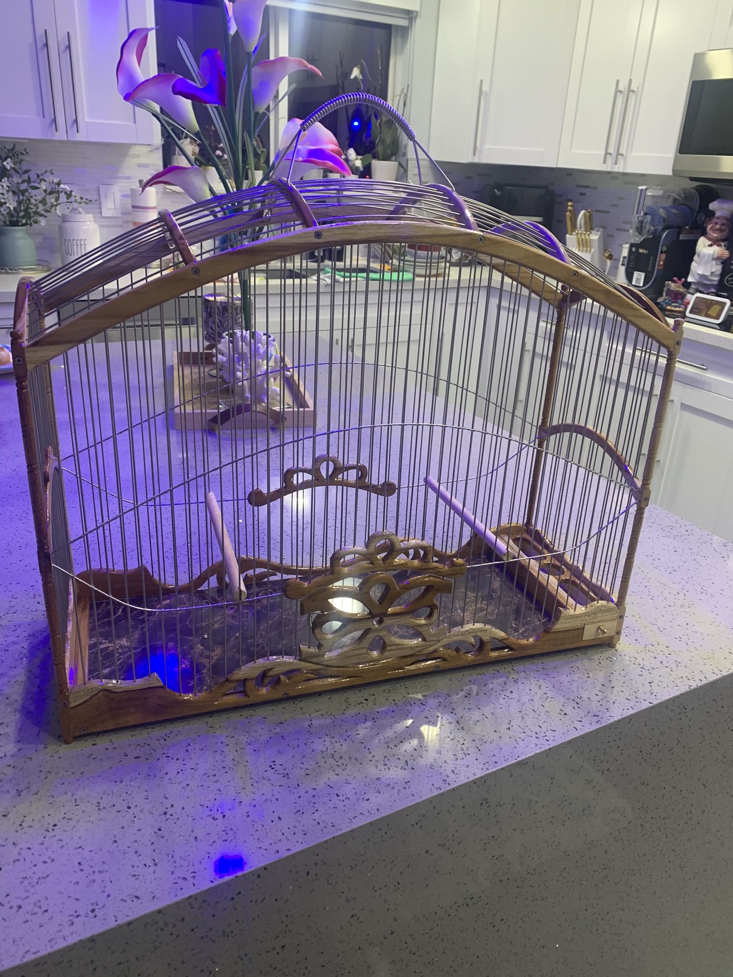 Canary cage