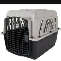 Dog Kennel 