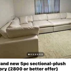 Plush Sectional 5pc. 