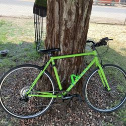 Fairdale 2021 Lookfar 700c bike Cowabunga Green