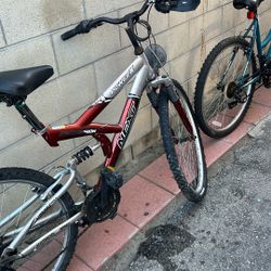 Visicletas  2.  Roadmaster  La Otra next