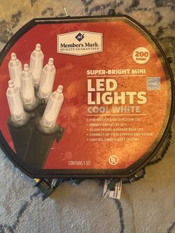 Christmas Lights Indoor/outdoor AND buy The Snowman And Lights Are $5.00