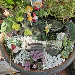 Fairy Garden