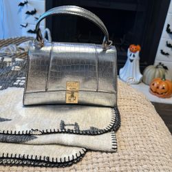 Aldo Purse