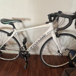 Cannondale Road Bike 51cm