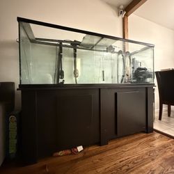 For Sale: Large 6-Foot Aquarium Approx 135 Gallon + Stand – Great Condition