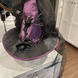 HUGE witch Hat With Ling 34” Tulle Veil Adjustable Inside Halloween Grandinroad Wizard Wicked