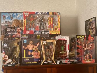 Wrestling action figures, Teenage mutant ninja turtles, etc..