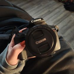 Canon Rebel T7 And 50mm Lens
