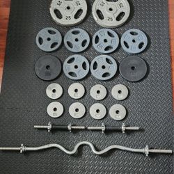 Standard Weight Plates, Adjustable Dumbbells And Ez Curl Bar