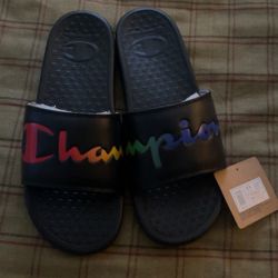 Champion Slides 