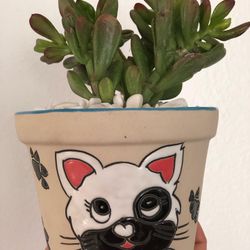 Absolutely Gorgeous Cat Planter With Healthy Succulents 