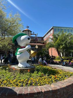 knotts berry farm 4 tickets (family pack)