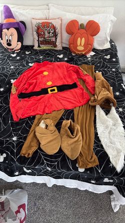 Disney Snow White Grumpy costume for men