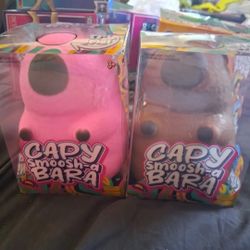 Squishy Capybara Pink or Brown