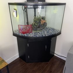 50 Gallon Fish Tank