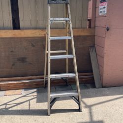 Ladder 🪜 6-Foot 