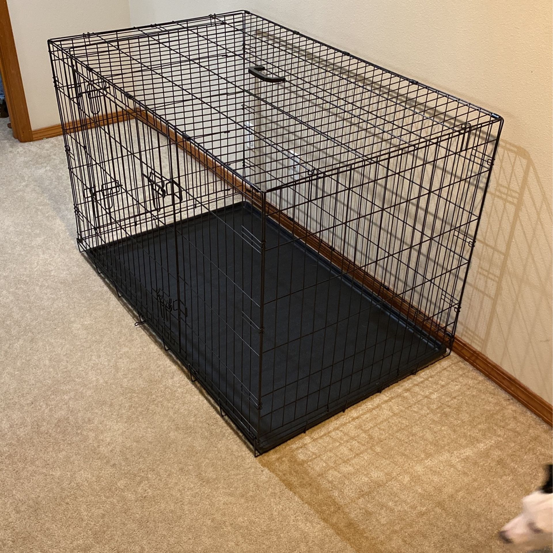 XXL Dog Kennel And Dog Taxi For Sale 