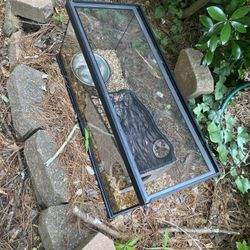 40 Gallon Snake Cage Or Fish tank 
