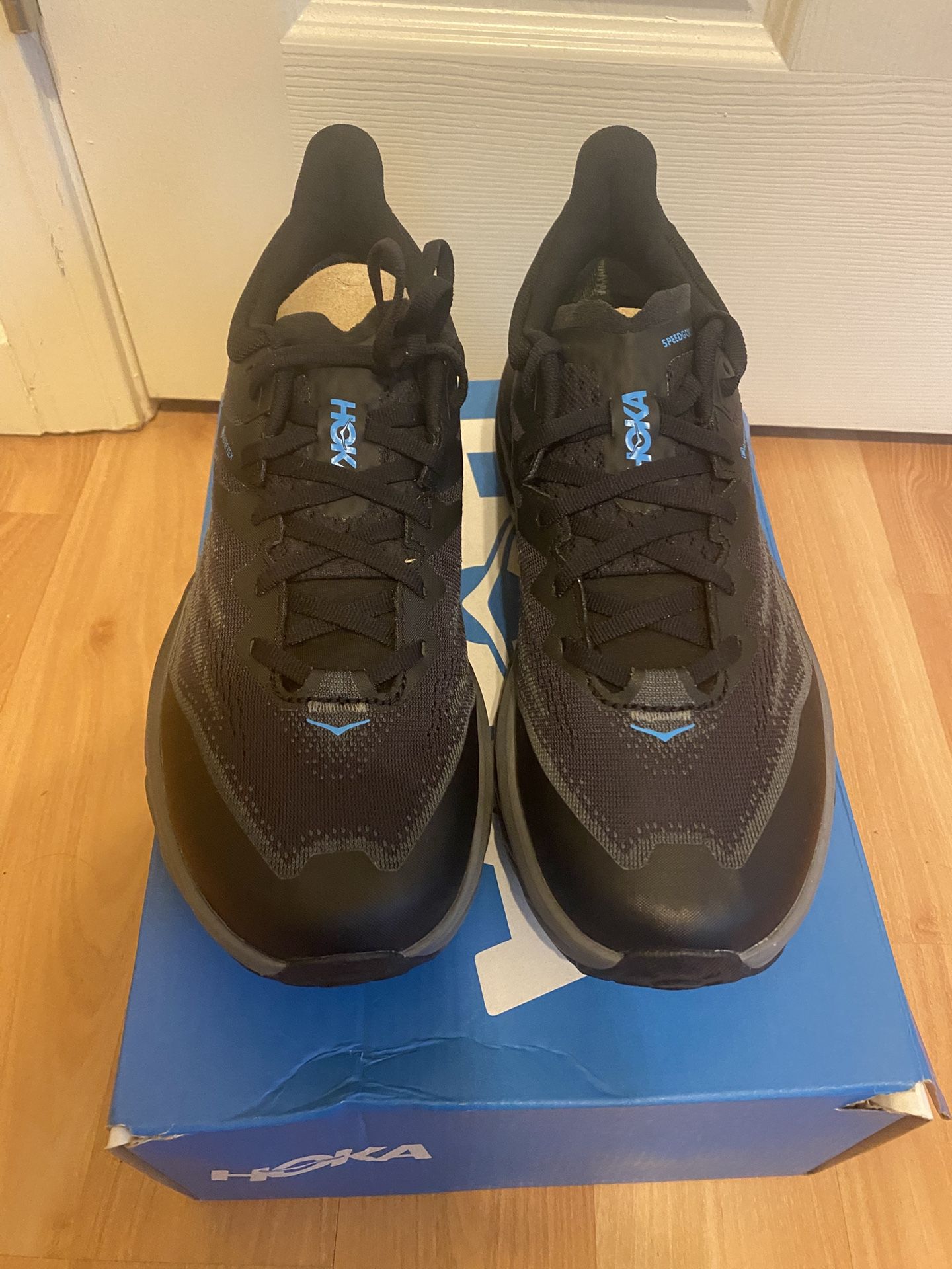 Hoka Hiking Shoes