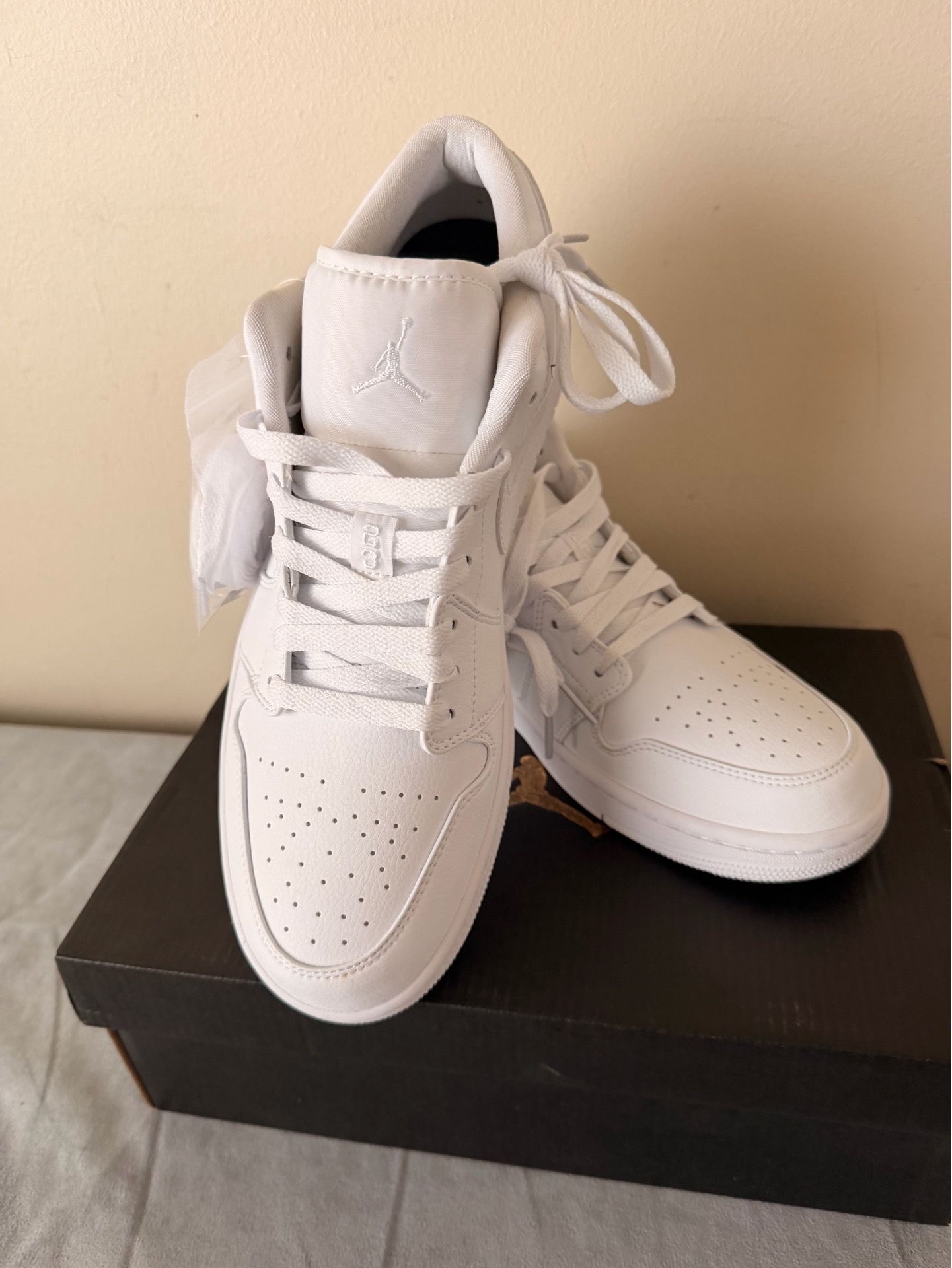 AIR JORDAN 1 LOW #10 1/2