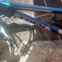 Trek Bike