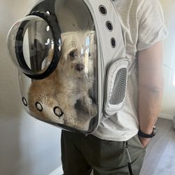 Clear Bubble pet Carrier 