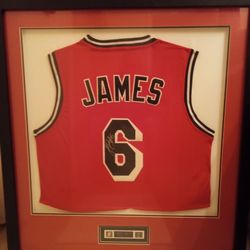 LeBron James Signed Professionally Friend Jersey