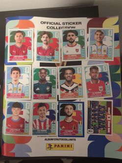 Panini world cup stickers