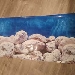 Aquarium background Large 