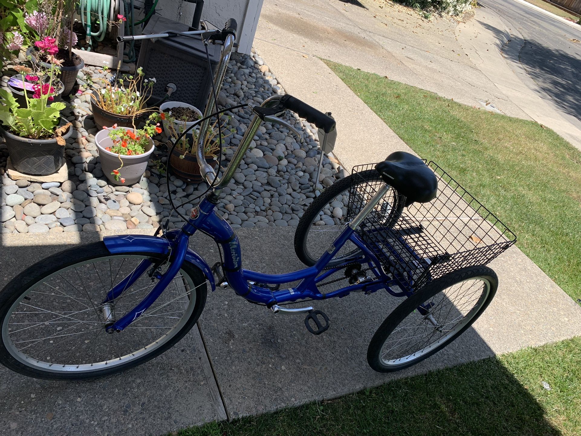 Schwinn Meridian Three Wheeler