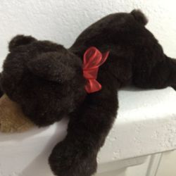 Cute Teddy Bear ♥️