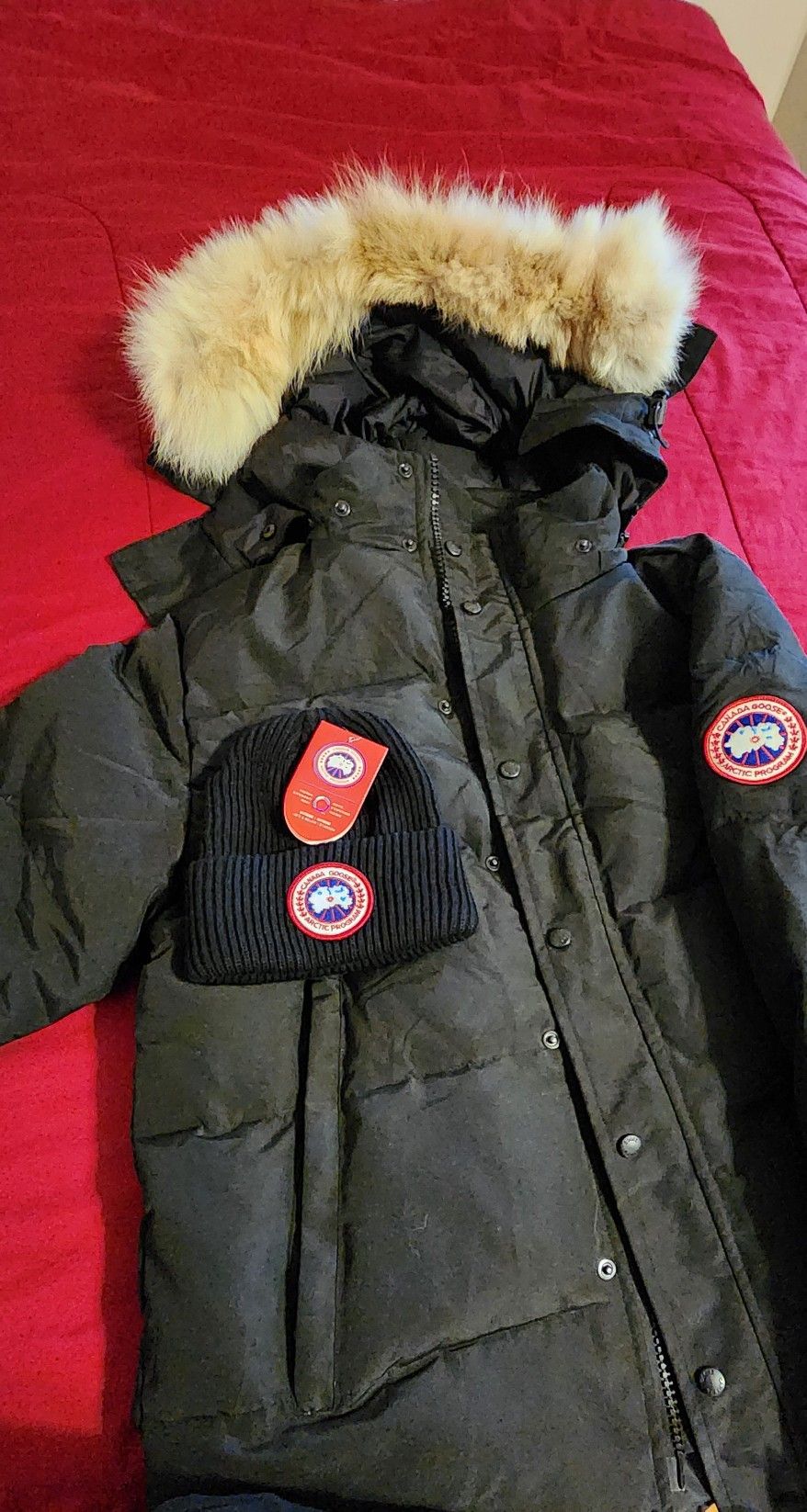 Men Canada goose Parka