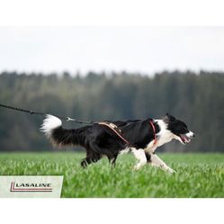 “New”Dog Weight Pulling Harness For Bike,ski Boring, Sled Mushing ,dog Sport Etc.)retail $39