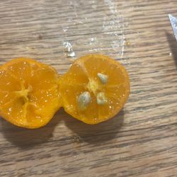  Kalamansi seeds and fresh fruit