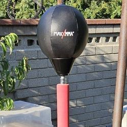 Punching Bag