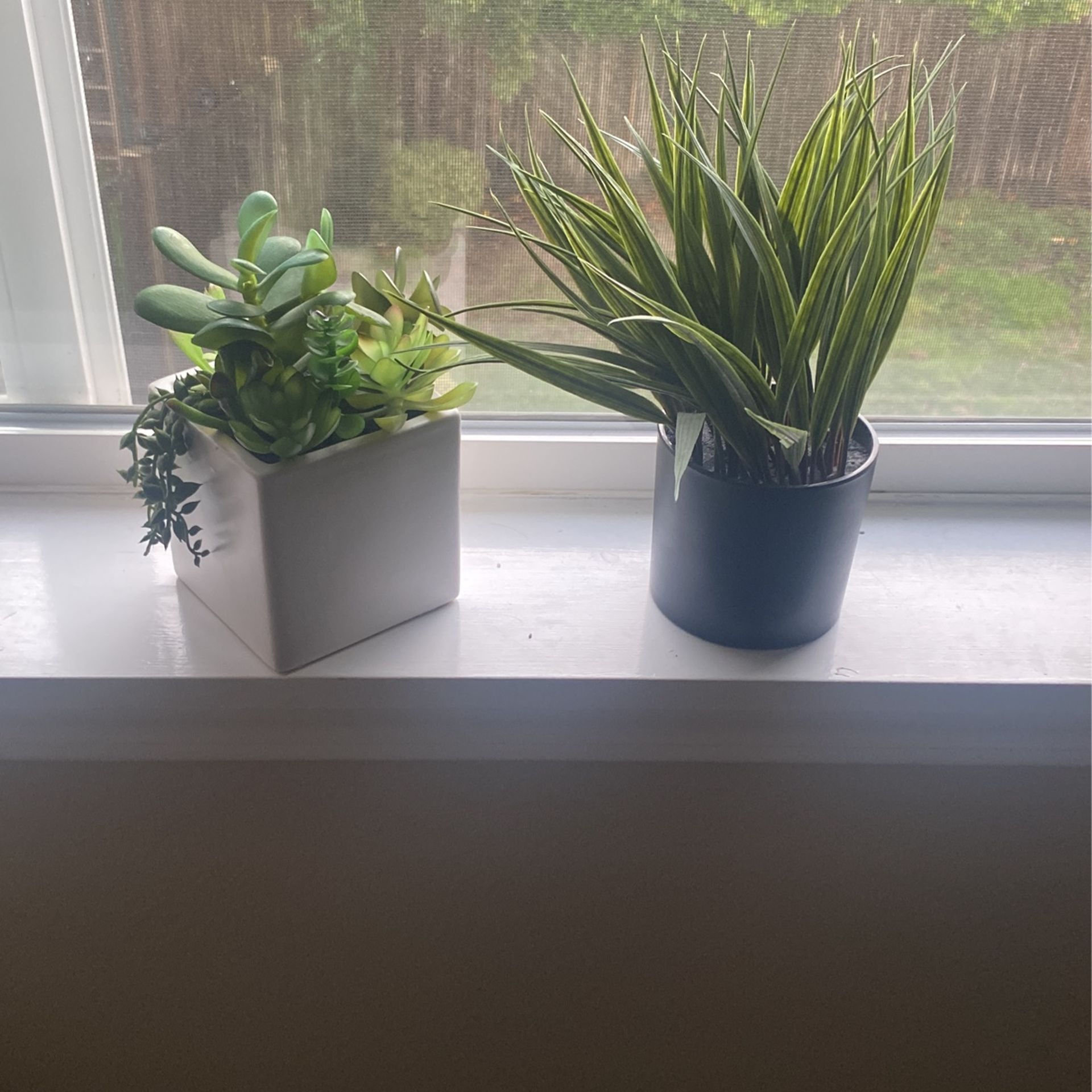 2 Fake Plants